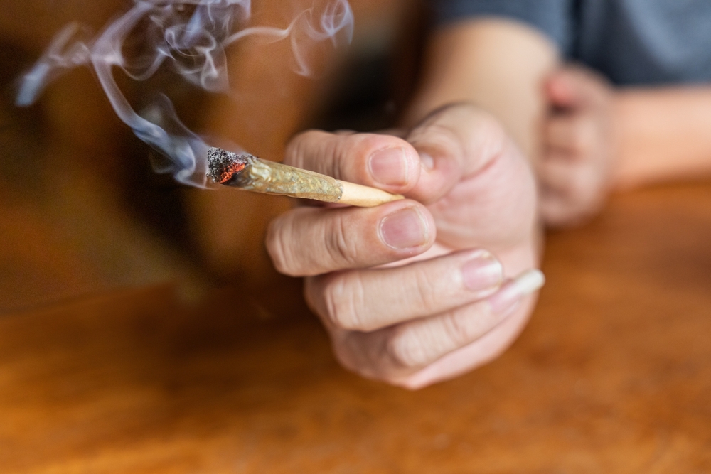 smoking weed marijuana using a rolled joint beginner first time smoker learning how to prepare and what to expect