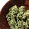 small-batch small order marijuana cannabis from rhythm of life for dispensaries to order in massachusetts
