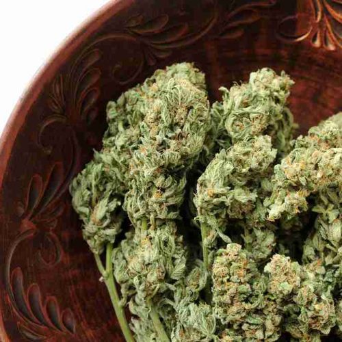 small-batch small order marijuana cannabis from rhythm of life for dispensaries to order in massachusetts